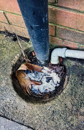 https://plumbercloverdale.com.au/uploads/2025/06/blocked-drains-294506.jpg